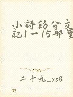 小诗的公交车日记1一15哪里能看