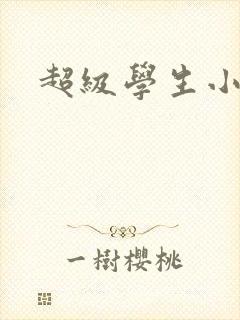 超级学生小说