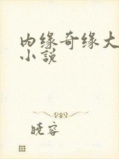 内缘奇缘大团圆小说