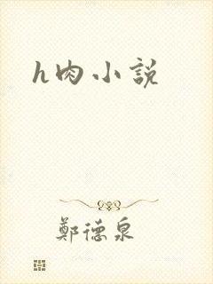 h肉小说