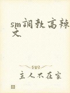 sm调教高辣h文
