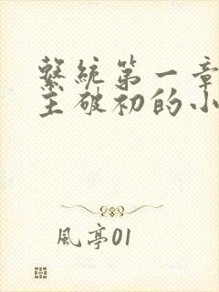 系统第一章给宿主破初的小说