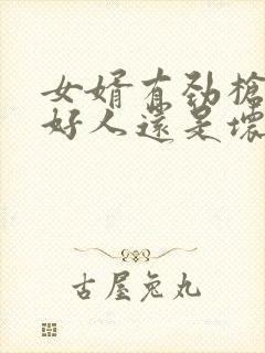 女婿有劲枪枪是好人还是坏人