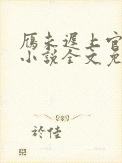 雁未迟上官穿越小说全文免费阅读