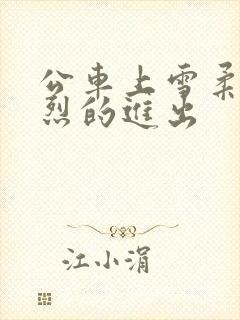 公车上雪柔被猛烈的进出