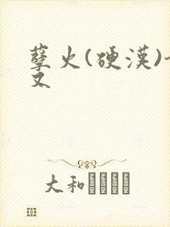 孽火(硬汉)今又