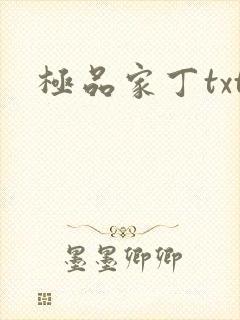 极品家丁txt