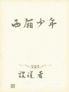 西厢少年