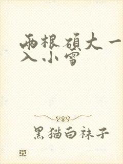 两根硕大一起挤入小雪