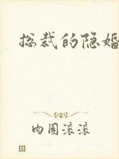 总裁的隐婚新娘