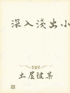 深入浅出小说