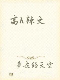 高h辣文