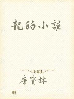 龙的小说