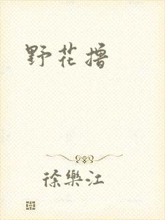 野花撸