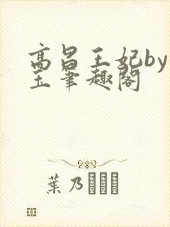 高昌王妃by黛玉笔趣阁