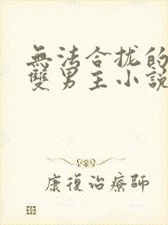 无法合拢的总裁双男主小说