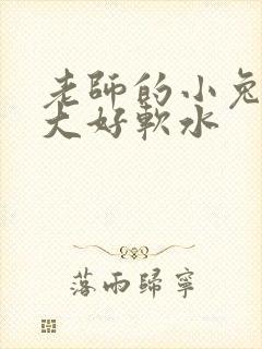 老师的小兔子好大好软水