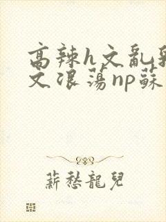 高辣h文乱乳h文浪荡np苏夏