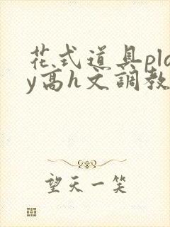 花式道具play高h文调教