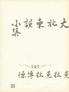 小说东北大炕全集