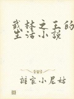 武林之王的退隐生活小说