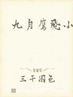 九月鹰飞小说