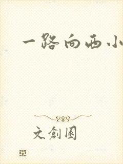 一路向西小说