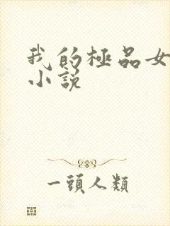 我的极品女老师小说