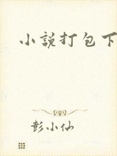 小说打包下载