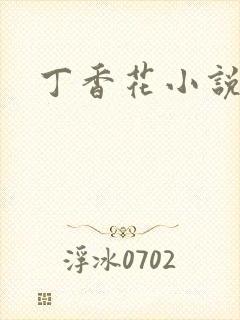 丁香花小说