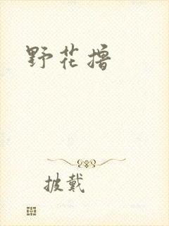 野花撸