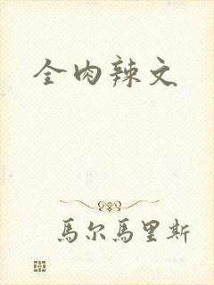 全肉辣文