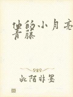 他的小月亮by青藤