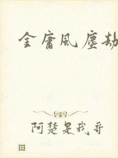 金庸风尘劫