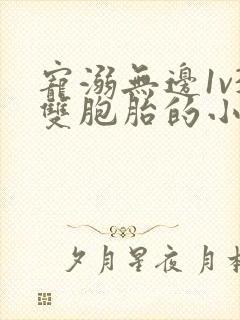 宠溺无边1v3双胞胎的小说