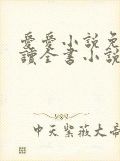 爱爱小说免费阅读全书小说乡村