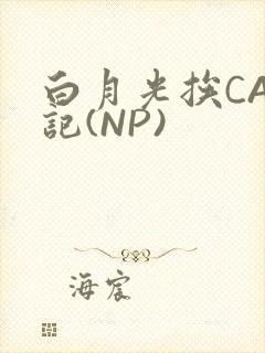 白月光挨CAO记(NP)