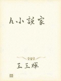 h小说家