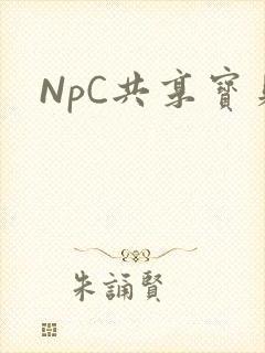 NpC共享宝贝