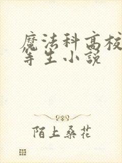 魔法科高校的劣等生小说