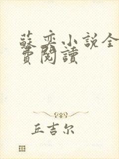 苏奕小说全文免费阅读