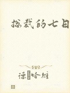 总裁的七日恋人