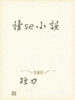 情se小说