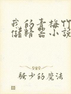 我的青梅竹马是储精器小说