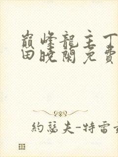 巅峰龙主丁长顺田晓兰免费阅读