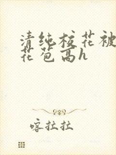 清纯校花被迫开花苞高h