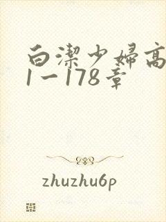 白洁少妇高义第1一178章