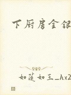 下厨房金银花露