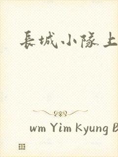 长城小队上中下