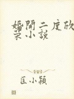 婚开二度欣欣向荣小说